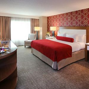Executive King Room